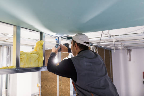 Best Specialized Insulation Services in Phillipsburg, GA