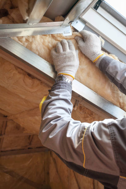 Best Commercial Insulation in Phillipsburg, GA