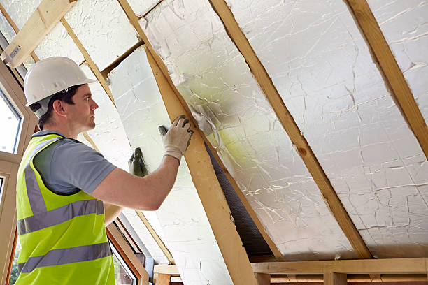 Best Spray Foam Insulation in Phillipsburg, GA
