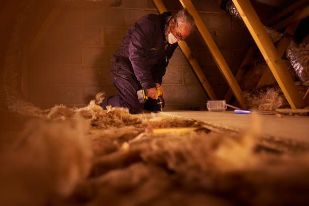 Best Residential Insulation in Phillipsburg, GA